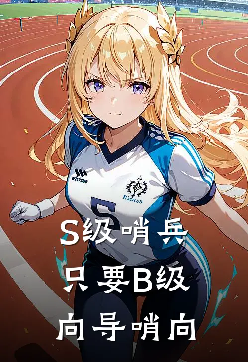 S级哨兵只要B级向导【哨向】