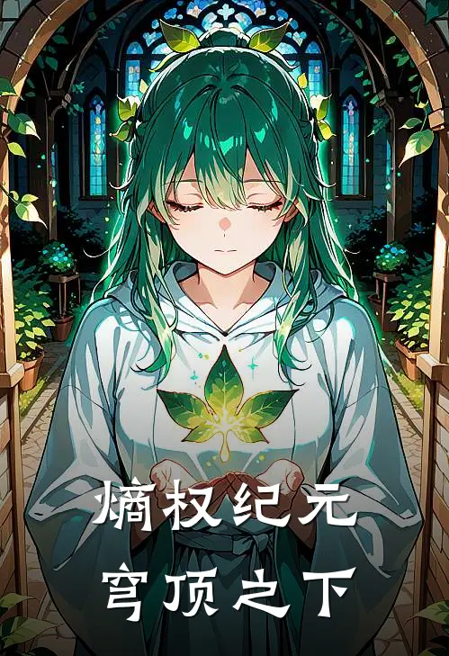 熵权纪元：穹顶之下