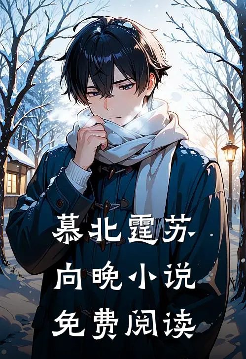 慕北霆苏向晚小说免费阅读