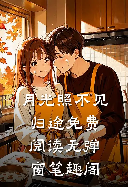 月光照不见归途免费阅读无弹窗笔趣阁