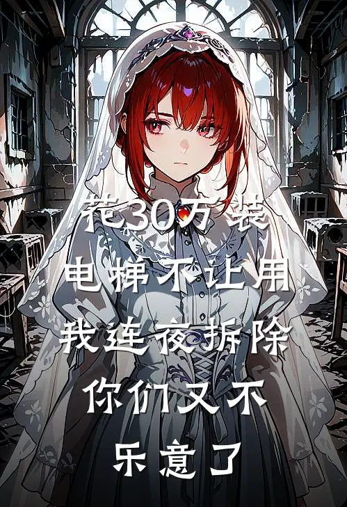 花30万装电梯不让用，我连夜拆除，你们又不乐意了