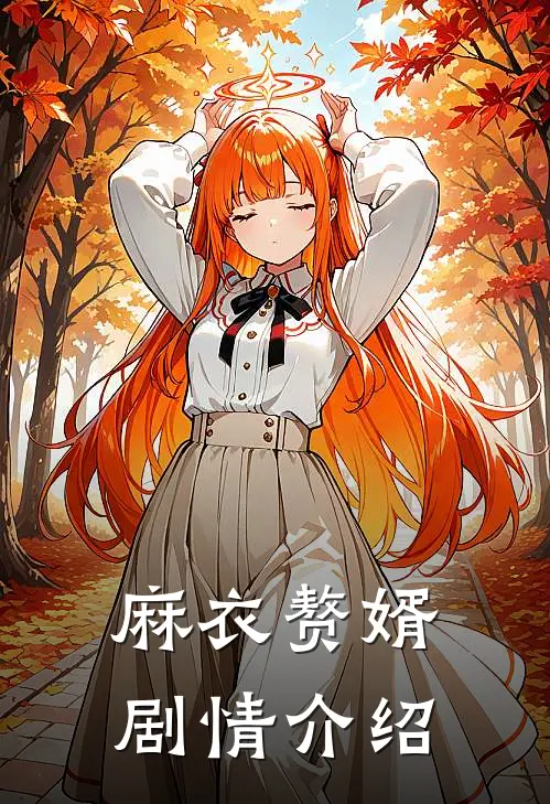 麻衣赘婿剧情介绍